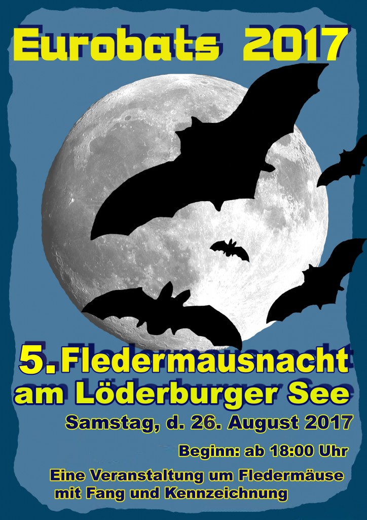 fledermausnacht2017-A4